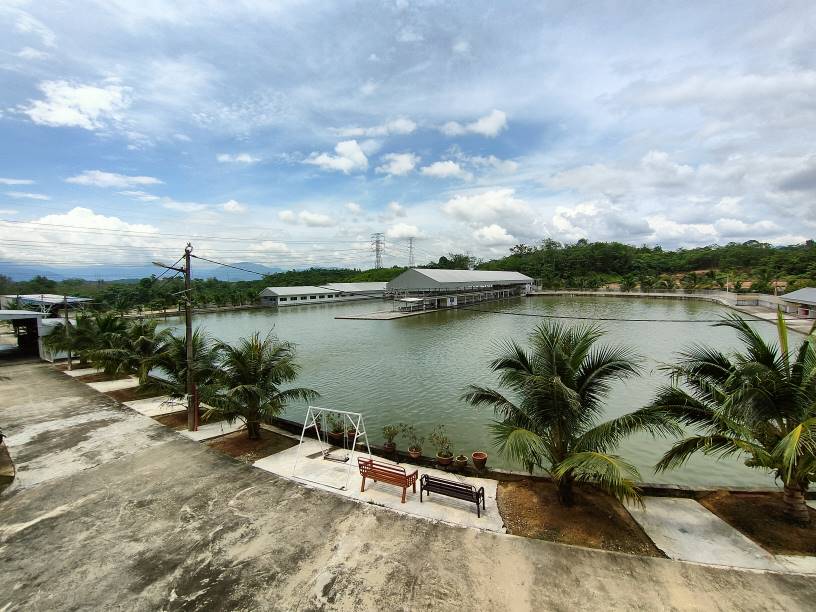 13 acre tanjung malim resort agriculture land sale - photo 3