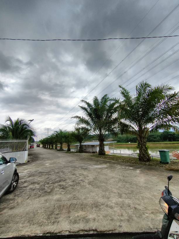 13 acre tanjung malim resort agriculture land sale - photo 5