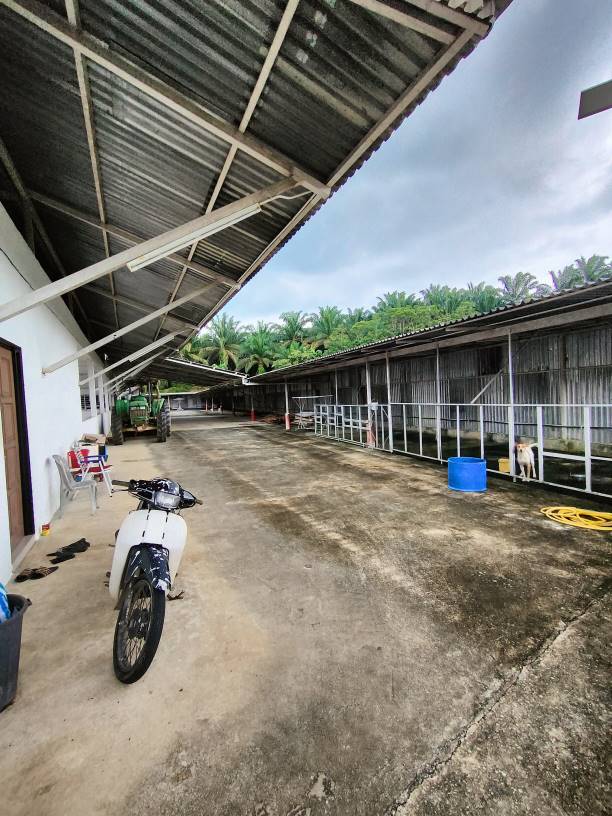 13 acre tanjung malim resort agriculture land sale - photo 6
