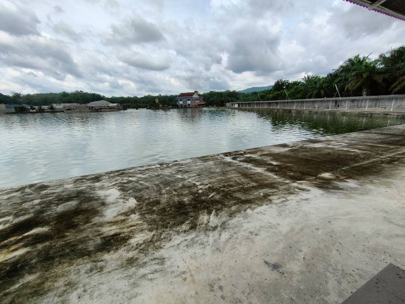 13 acre tanjung malim resort agriculture land sale - photo 10