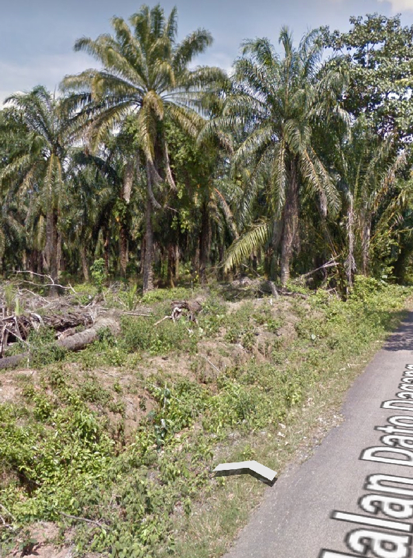 Dengkil agricultural land for sale 7.5 arces - photo 1