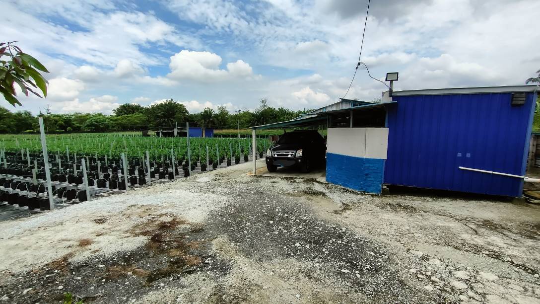 2 acres agriculture land at KUNDANG for sale
