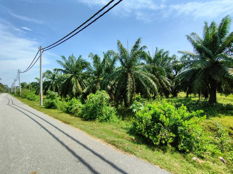 agricultural land at jeram Kuala Selangor for sale