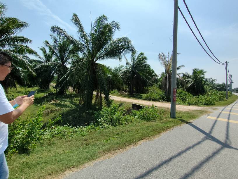 agricultural land at jeram Kuala Selangor for sale - photo 2