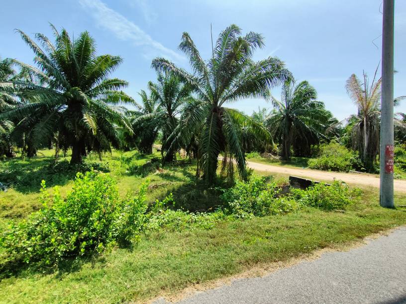 agricultural land at jeram Kuala Selangor for sale - photo 3