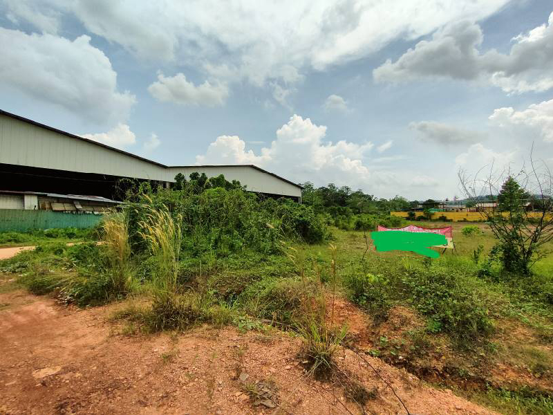 freehold serendah agricuture land sale antara gapi - photo 2