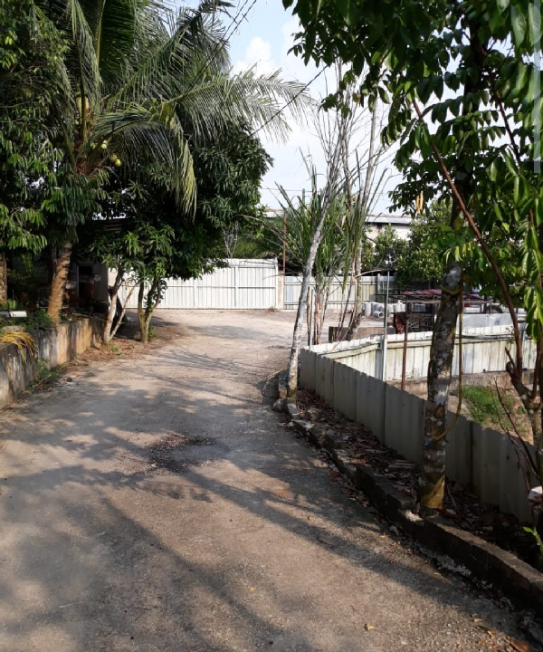 Rawang Kundang sungai bakau agricultural land sale
