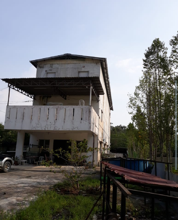 Rawang Kundang sungai bakau agricultural land sale - photo 2