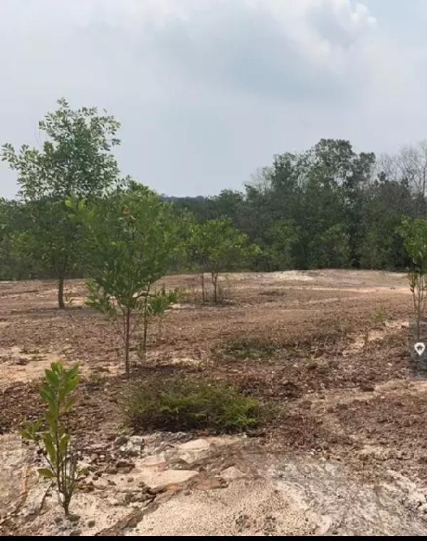 9900 sqft banglow land at bandar puncak alam amban - photo 1
