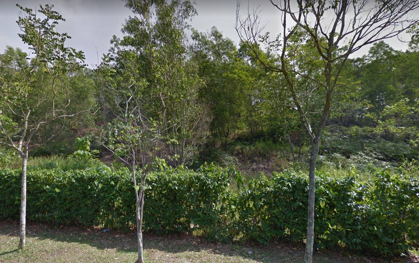 sungai bakau rawang agricultural land for sale