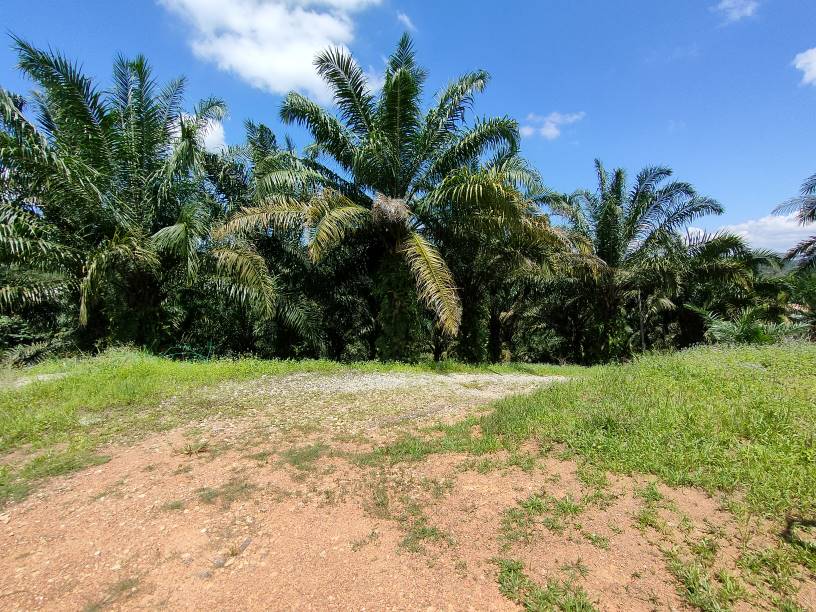 9 acres agriculture land sale kuala kubu baru - photo 1