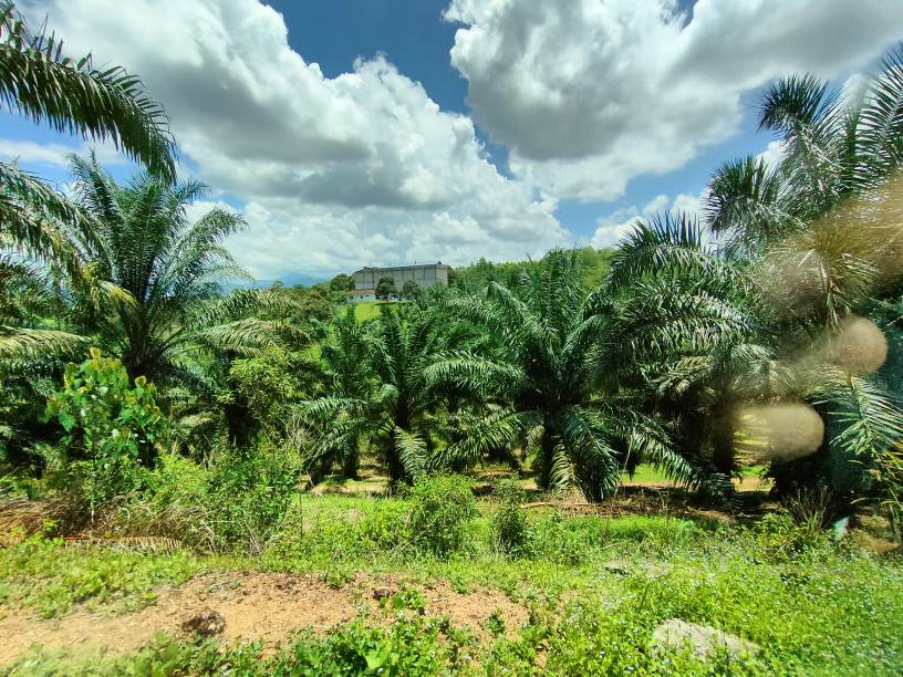 9 acres agriculture land sale kuala kubu baru - photo 2
