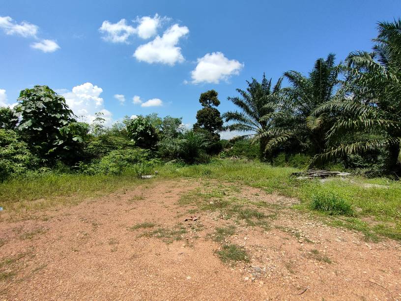 9 acres agriculture land sale kuala kubu baru - photo 11