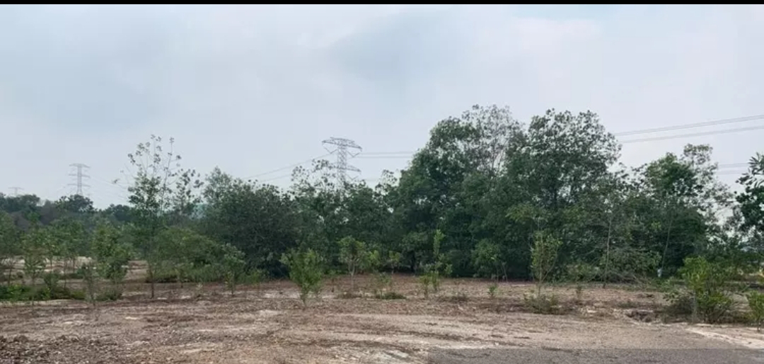 banglow land bandar puncak alam ambang suria for sale
