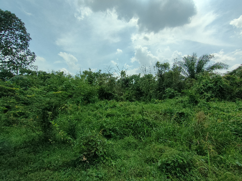 Rawang Kundang 2 arces corner agricultural land for sale