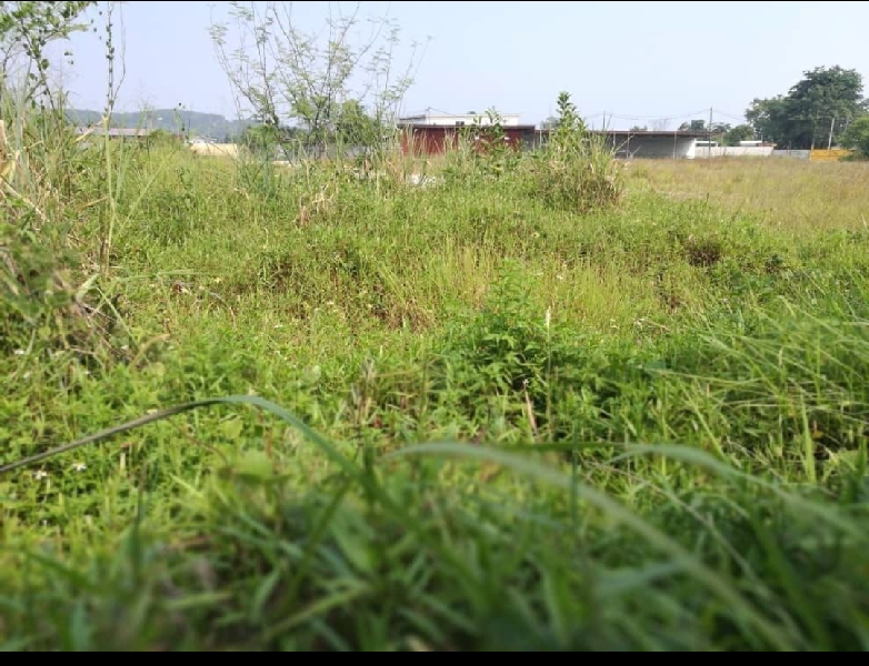 1.79 acres agriculture land saujana Rawang for sale - photo 4