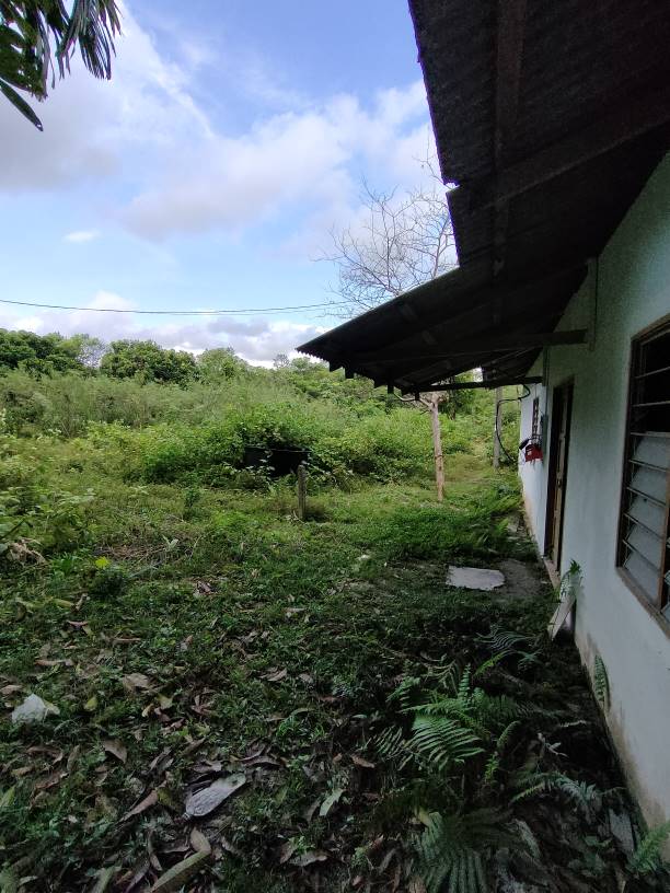 1.917 acres sungai bakau agricultural land for sale