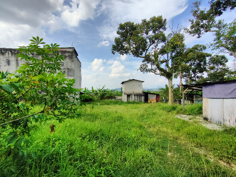 81480 sqft Kundang agricultural for sale