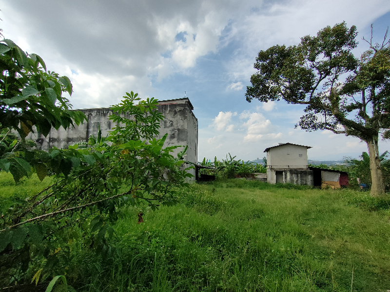 81480 sqft Kundang agricultural for sale - photo 2