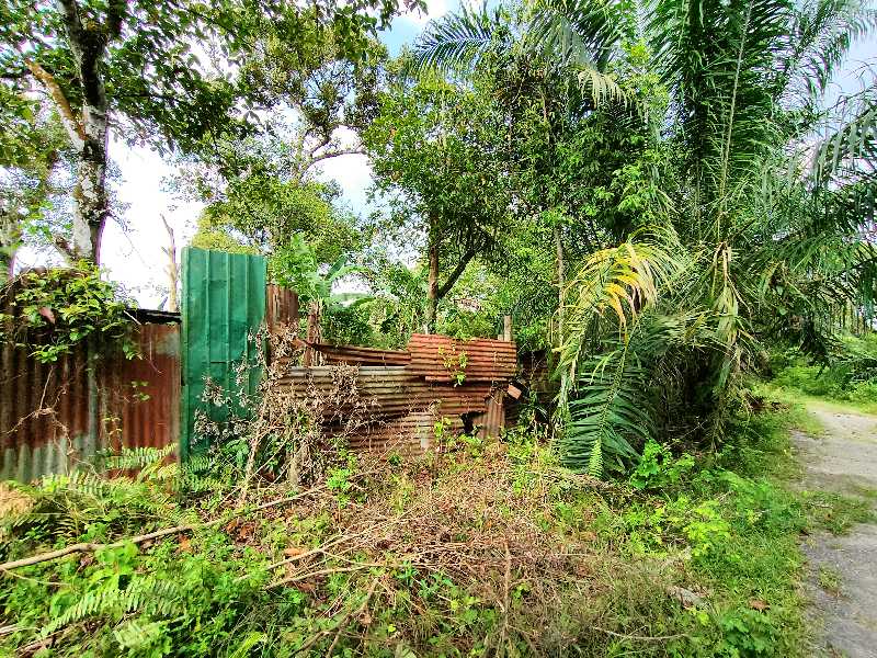 81480 sqft Kundang agricultural for sale - photo 3