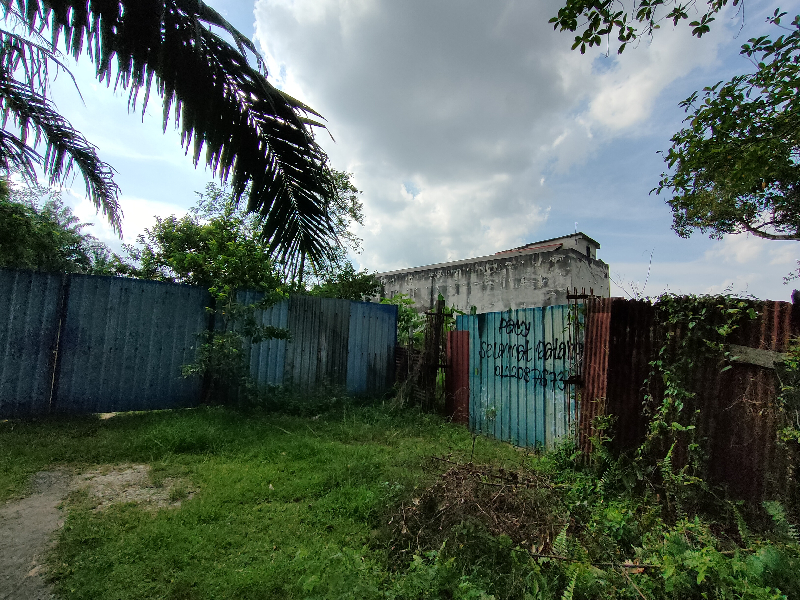 81480 sqft Kundang agricultural for sale - photo 4
