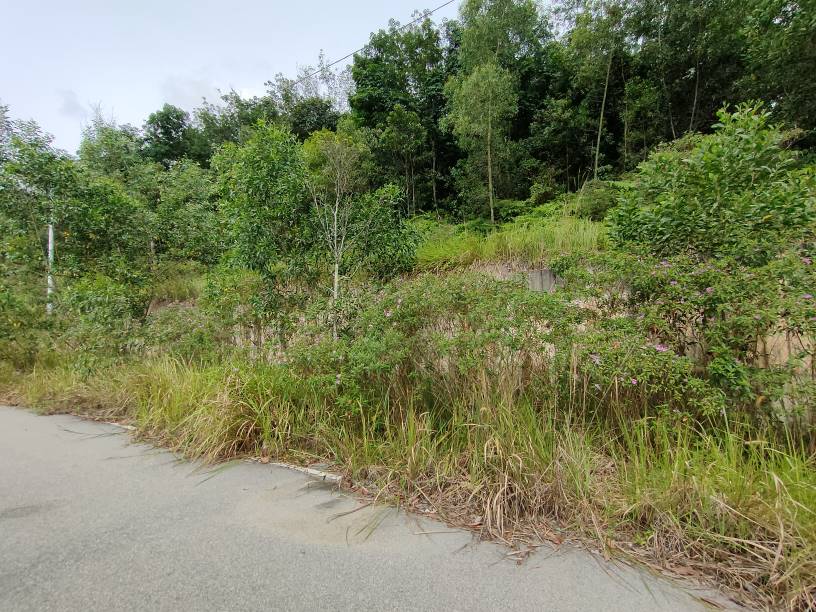 freehold industrial land KPK kundang Rawang sale - photo 2