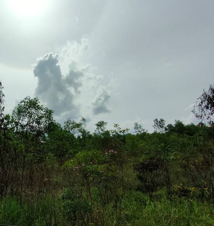freehold industrial land KPK kundang Rawang sale - photo 3