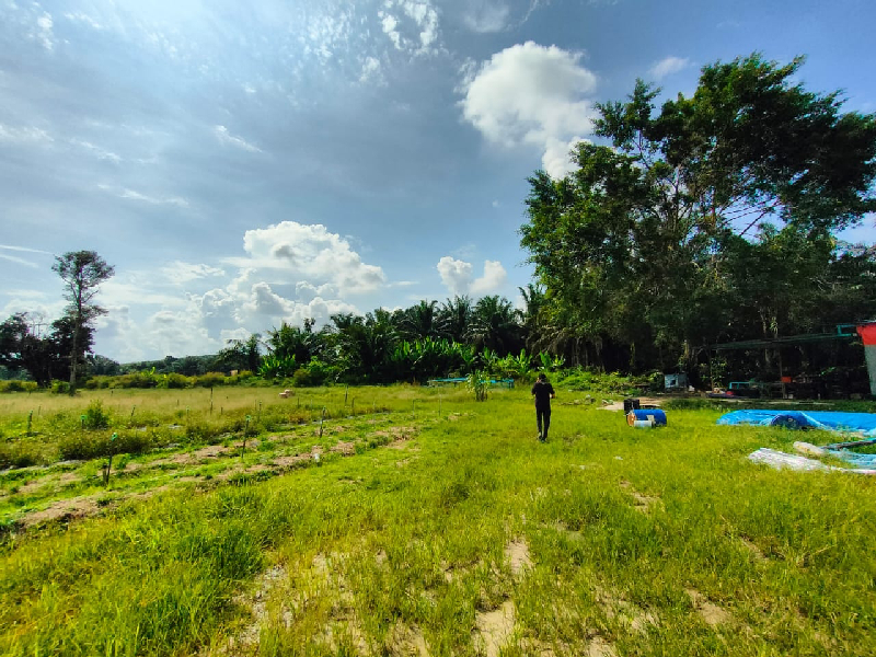 4.4 arces agricultural land at kundang for sale