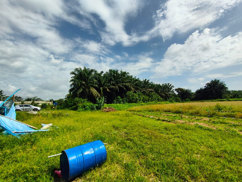 4 acres agricultural land at kundang for rent - photo 3