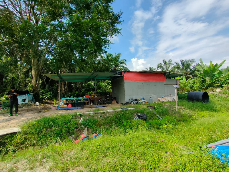 4 acres agricultural land at kundang for rent - photo 6