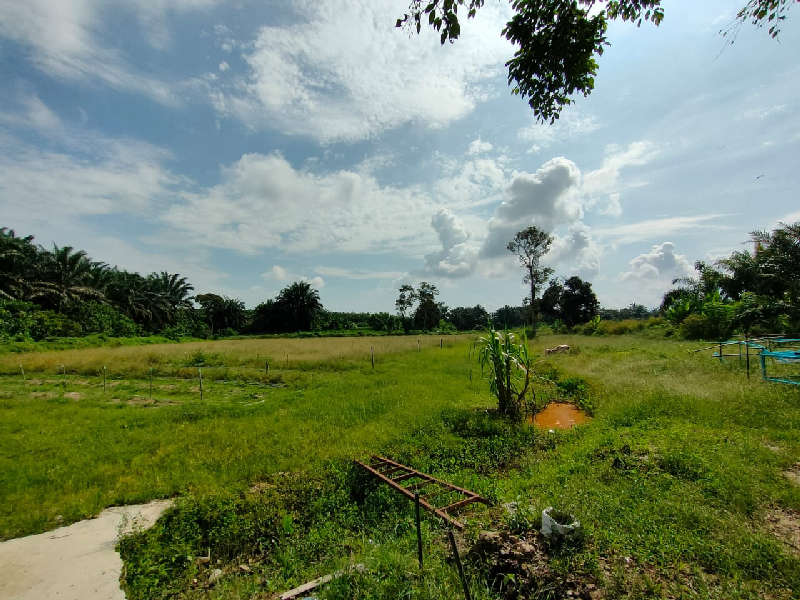4 acres agricultural land at kundang for rent - photo 7