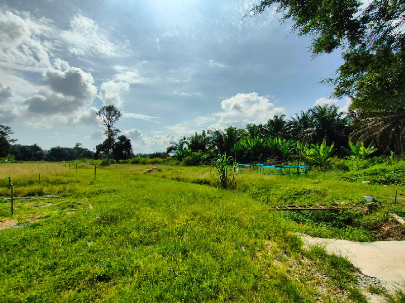 4 acres agricultural land at kundang for rent - photo 8