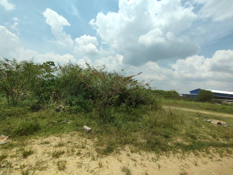 Rawang kundang 3 n 9 arce agriculture land sale - photo 7
