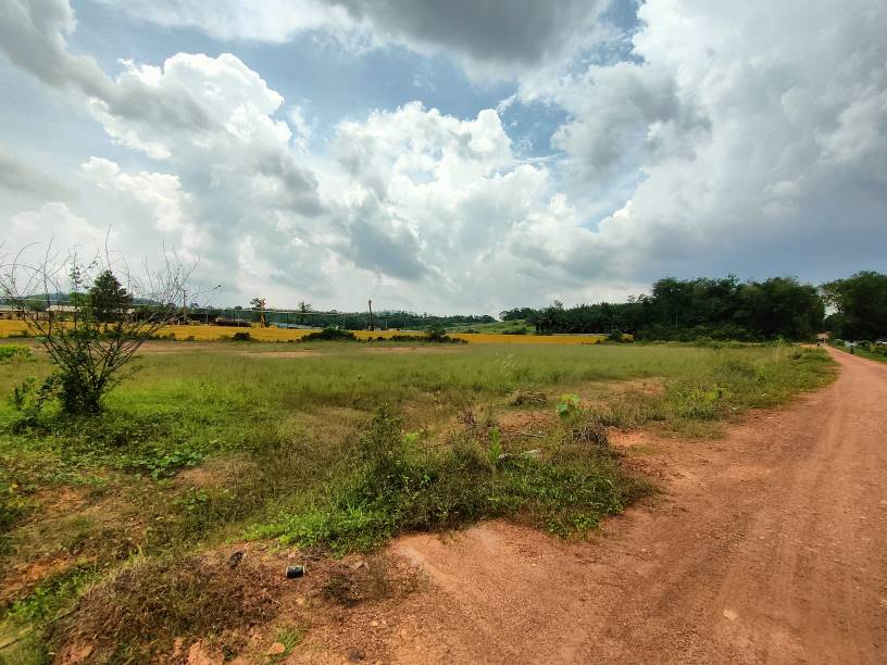 freehold serendah agricuture land sale antara gapi