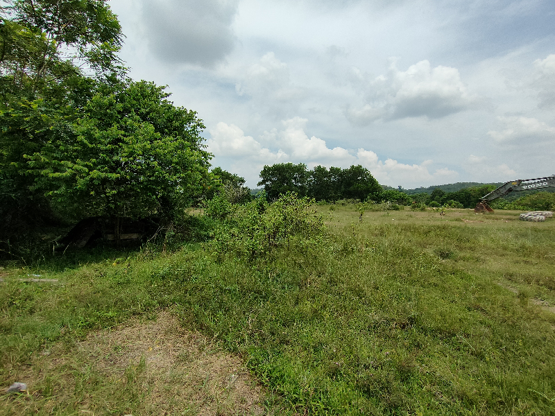 3 acres sungai bakau agricultural land for sale