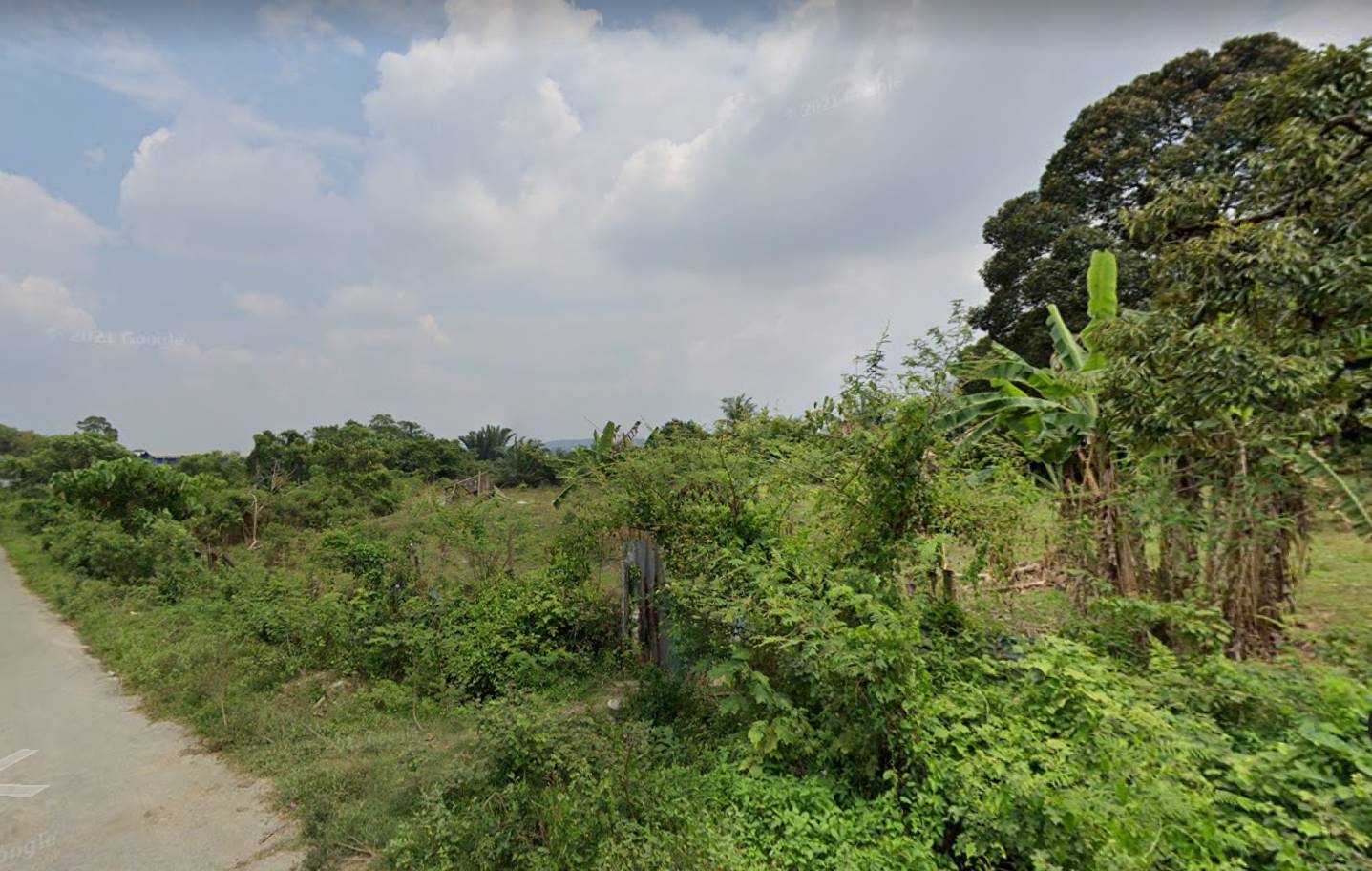 Rawang kundang 3 n 2 agricultural land for sale - photo 2