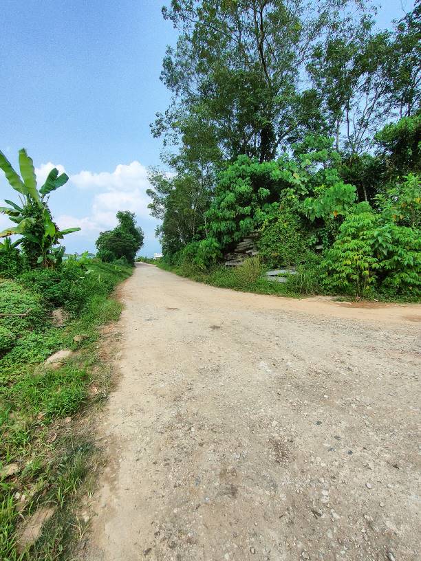 2n84 acres 20 psf agriculture land at hulu yam, ba - photo 2