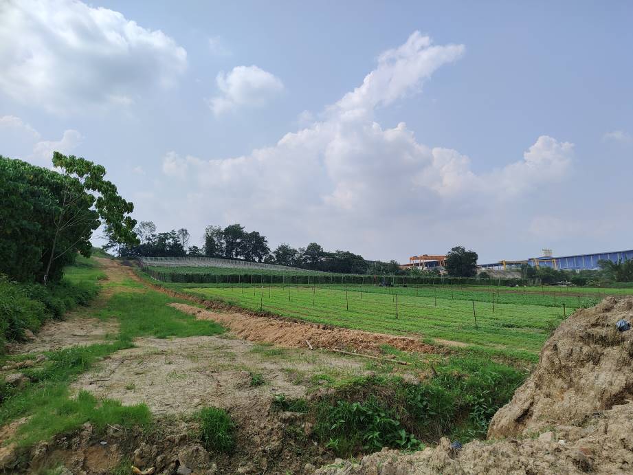 2n84 acres 20 psf agriculture land at hulu yam, ba - photo 3