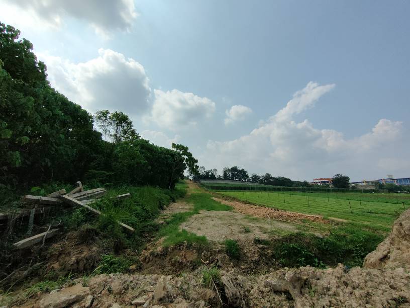 2n84 acres 20 psf agriculture land at hulu yam, ba - photo 4