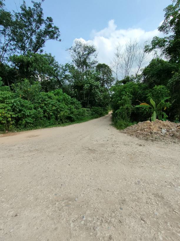 2n84 acres 20 psf agriculture land at hulu yam, ba - photo 5
