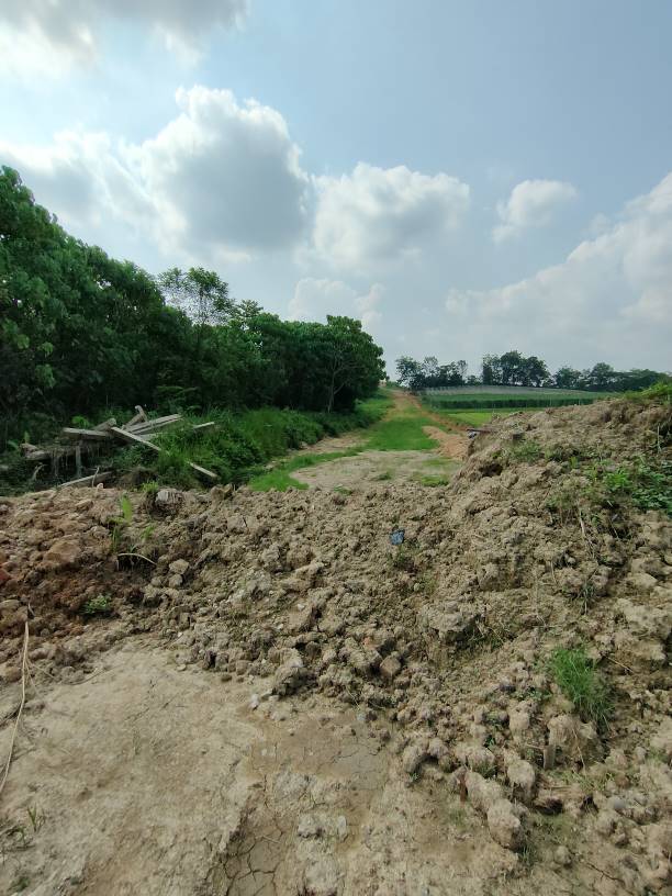 2n84 acres 20 psf agriculture land at hulu yam, ba - photo 7