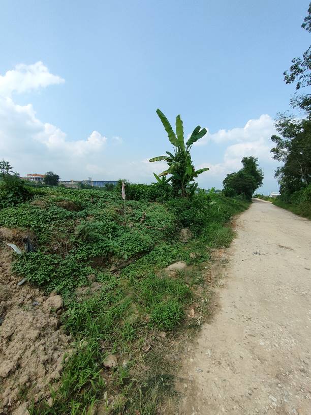 2n84 acres 20 psf agriculture land at hulu yam, ba - photo 8