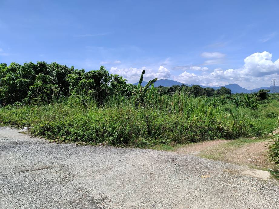 2 acres rawang hulu yam lama agricuture land zo - photo 6