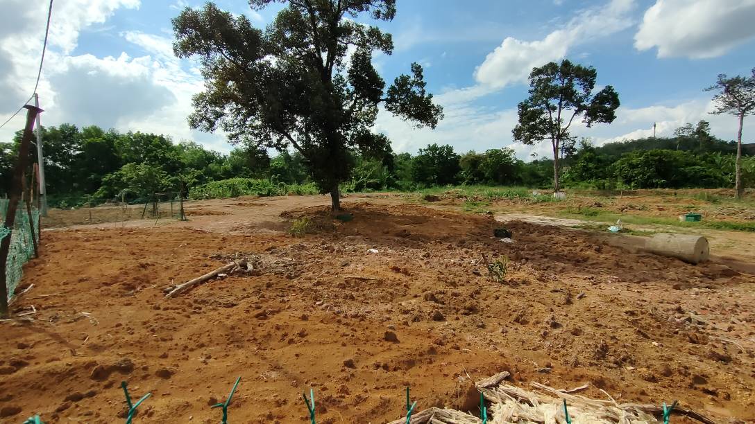 1 acres agricutural land for rent at serendah - photo 2