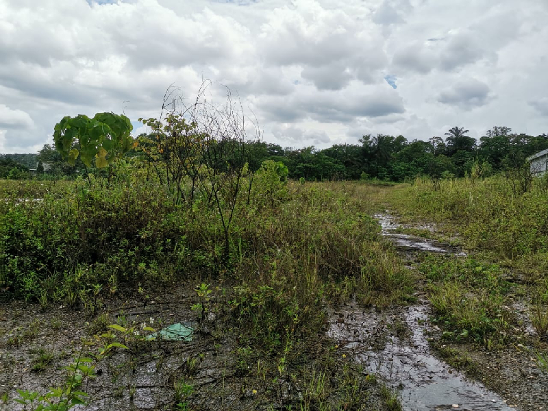 5 acres industry land for sale at Sungai bakau Rawang - photo 2