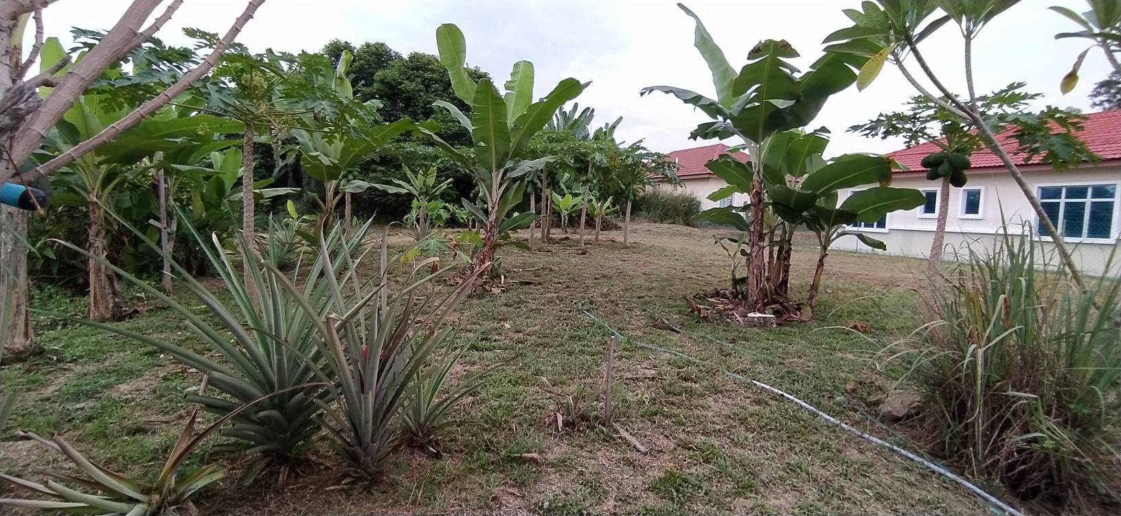 End Lot,Freehold lot banglo Mahkota Hills Lenggeng - photo 3