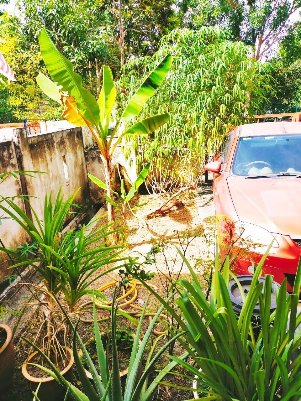 2 Storey Terrace Alam Suria, Bandar Puncak Alam - photo 3