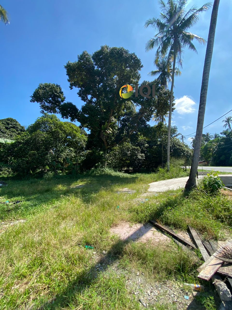 Tasek Simpang Ampat Agriculture Land 34848 Sqft - photo 6