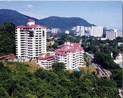 Pearl View - photo 2