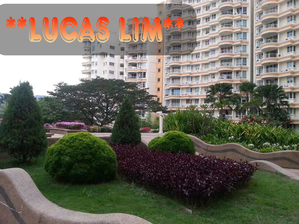 Gold Coast Condominum - photo 5